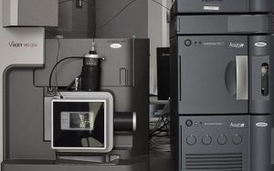 Intestinal Resilience