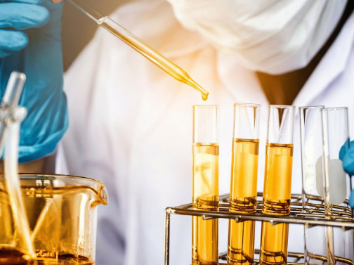 Quillaja Green Biosolutions as a discreet technical partner for upstream ingredient supply